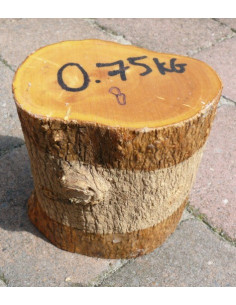 Buxus 8