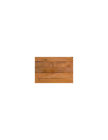 Taxus 19x19x150mm, 5st