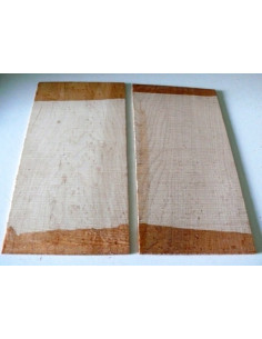 Vogeloogahorn, 95x200mm, 1st.